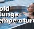 What is the Best Cold Plunge Temperature?